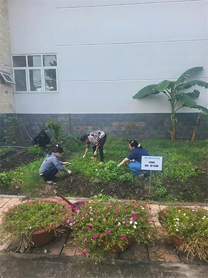 Các Tổ Công đoàn tham gia chăm sóc và trồng rau xanh